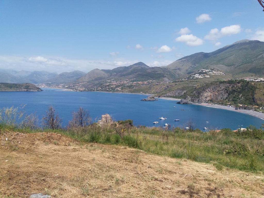 Quattro Stagioni